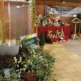 Aalten, Kleur en Fleur, vogelshow, 26 november 2016 037.jpg